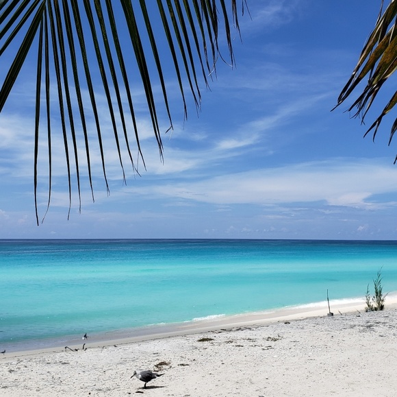 Meet your Posher, Jody - Picture 1 of 1